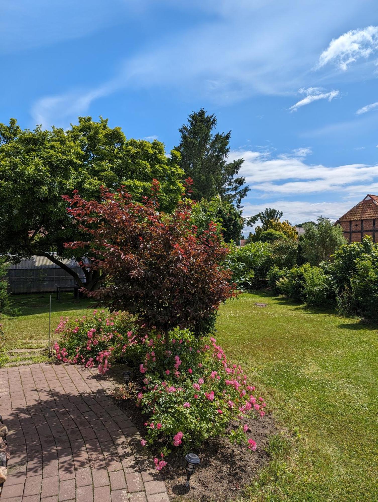 Ferienwohnung Bullersberg Balge Kültér fotó